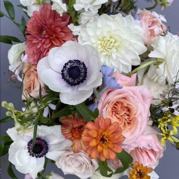 Meet your Posher, Leyla - Picture 1 of 1